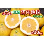 ふるさと納税 訳あり�