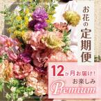 お楽しみ 12か月お届け お花の定期便 Premium