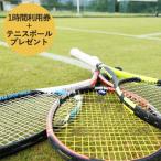 テニスコート利用券 天然芝 テニスボール付