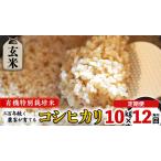 令和6年産 玄米 10kg×12回