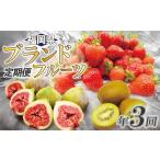 福岡ブランドフルーツ定期便 3~4 8~9