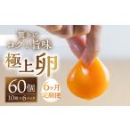 コク旨 極上卵 60個