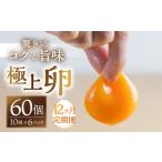 コク旨 極上卵 60個