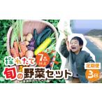 旬彩野菜セット定期便3回 旬の野菜 7品目以上