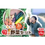 旬彩野菜セット定期便 年4回 旬の野菜 7品目以上