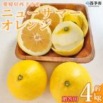 ニューサマーオレンジ 約4kg