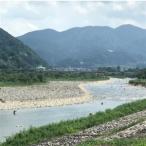 ふるさと納税 令和8年 庄川 あゆ遊漁承認証 友釣 年券_旅行券・チケット _ 富山県