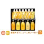 みかん ジュース 5本