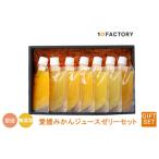 愛媛みかんゼリー セット 10 FACTORY