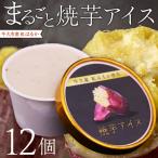 紅はるか 使用 焼き芋アイス 12個