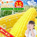 ★2027年 ★朝採りトウモロコシ 約2.5kg