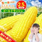 ★2027年 ★朝採りトウモロコシ 約2.5kg