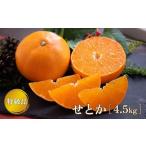 特級品 せとか 4.5kg