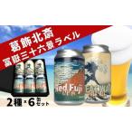 クラフトビール 2種 6本 飲み比べセット