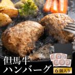 ビアドリット 但馬牛ハンバーグ 6個