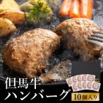 ビアドリット 但馬牛ハンバーグ 10個