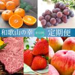 和歌山をまるごと味わい尽くす定期便 熊野牛