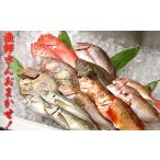 鮮魚 光勝丸 漁師さんのおまかせセット