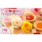 美を食す Nobel Rose 生花MIX