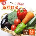 野菜セット定期便 旬の新鮮野菜 8種以上