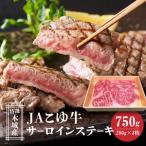 JAこゆ牛 特選木城産 サーロイン750g