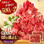 博多和牛 切り落とし 500g×2P