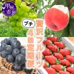 贅沢な味わい少量 くだもの4回 定期便 KSB
