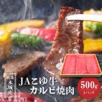JAこゆ牛 特選木城産 肩ロース500g