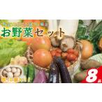 野菜セット 8品