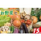 野菜セット 15品