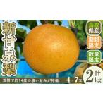 ふるさと納税 <先行予約受付中!8月下旬〜10月下旬発送予定><数量限定>こばやし農園新甘泉梨(計2kg・4〜7玉) ふるさと納税 境港市 特産品 ジ.. 鳥取県境港市
