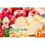 ショッピングふるさと納税 訳あり 傷 ふるさと納税 【26年11月〜発送】りんご 高谷農園【訳あり】葉とらずサンふじ 約6kg [青森産 りんご サンふじ 葉とらず アップル 林檎 リンゴ 果.. 青森県弘前市