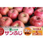 ショッピングふるさと納税 訳あり 傷 ふるさと納税 【25年11月〜発送】りんご【家庭用】葉とらずサンふじ 約5kg 訳あり ちとせ村 青森県弘前市