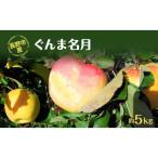 牧野果樹園 ぐんま名月 約5kg
