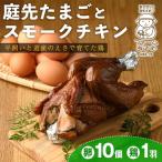 平飼い 昔ながらの庭先たまご 10個