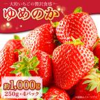 いちごゆめのか 250g