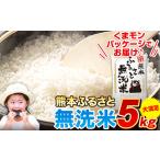 ショッピングふるさと納税 無洗米 ふるさと納税 無洗米ふるさと無洗米 5kg(5kg×1袋)《7-14日以内に出荷予定(土日祝除く)》 熊本県御船町