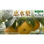 ふるさと納税 【 先行予約 】茨城県産 梨 恵水 約5kg 8玉〜12玉 ( 茨城県共通返礼品 _ 常陸太田市 ) 【 2025年 9月中旬頃より発送 】 フルーツ .. 茨城県牛久市
