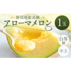 高級 アローマメロン 白等級 中玉 1玉