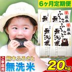 熊本ふるさと無洗米 20kg