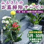 ふるさとのお墓清掃サービス 年1回