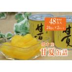 甘夏缶詰 24缶入×2ケース