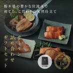 高級サーモン】 高級 ※沖縄 離島への配送不可