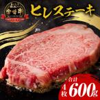 牛肉 ステーキ