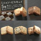 ミニョン ビスキュイ 塩バター ココアヘーゼル