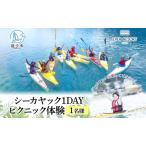 シーカヤックエバーリゾート 1DAYピクニック