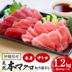 旬の天然本マグロ をお届け 切り落としセット 1.2kg