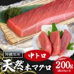 旬の天然本マグロ をお届け 天然本マグロ中トロ 200g