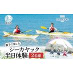 シーカヤックエバーリゾート親子半日体験逗子海岸シーカヤ…