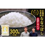 ふるさと納税 【お試